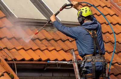 Démoussage et hydrofuge de toiture à Saint-Aubin-de-Courteraie